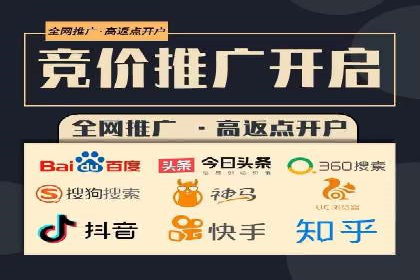 竞价排名优化策略案例分析