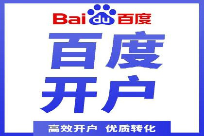 SEO百度推广策略：成功案例解析